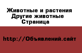 Животные и растения Другие животные - Страница 101 